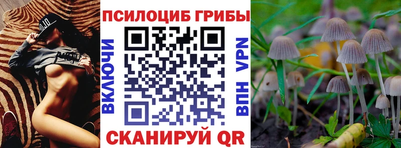 Галлюциногенные грибы мухоморы  маркетплейс наркотические препараты  Кузнецк 